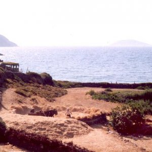 13i9.jpg