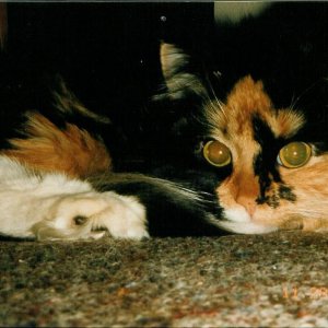 Image2.jpg