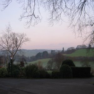 IMG_0589 copy.jpg