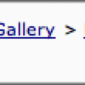 Picture 2.png