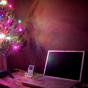 xmassetup.jpg