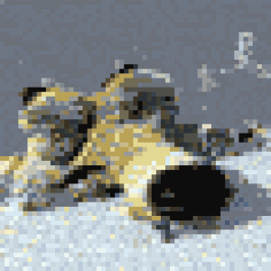 image.php.gif