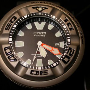 Citizen-a.jpg