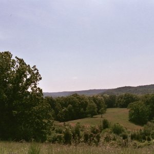 The View.jpg