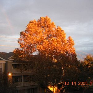 DSCN1854.JPG