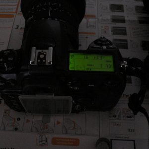 P1000633.JPG