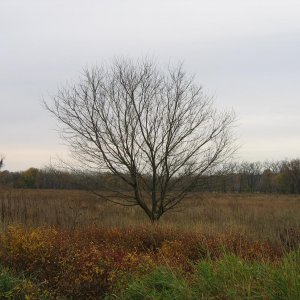 IMG_0654.JPG