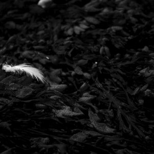 picture-20.jpg