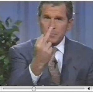 bushfinger.jpg