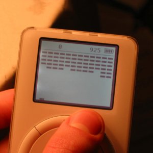 1.JPG