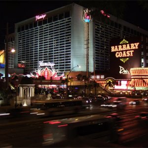 LV-flamingo.jpg