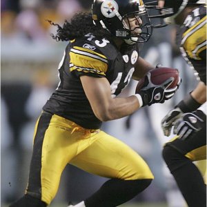 polamalu.jpg