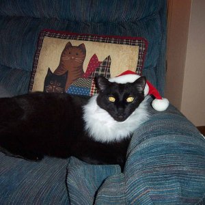Santa Malcolm.jpg