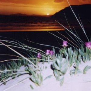 Picture 10.jpg