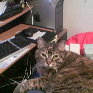 Image(021).jpg