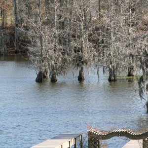 IMG_0032.jpg