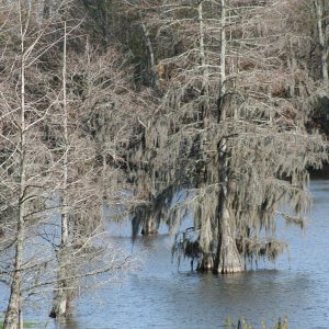 IMG_0036.jpg
