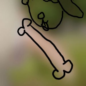 isitadog.jpg