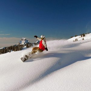 snowboard1.jpg