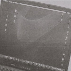 pic2.jpg