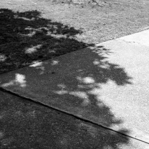 000_0327.jpg