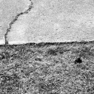000_0326.jpg