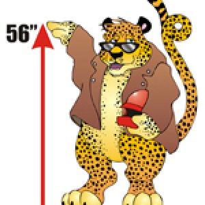 56inches.jpg