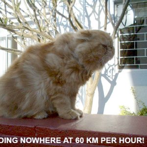 60km-lighter.jpg