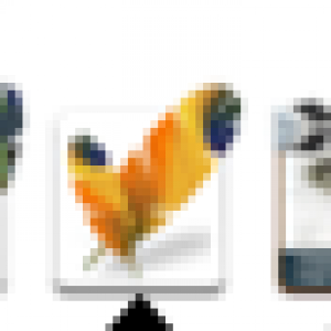 Picture 1.png