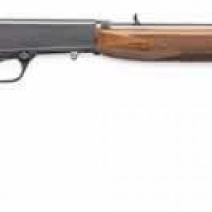 Browning Semi Auto 22.jpg