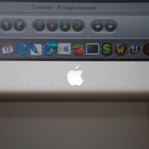 picture-15.jpg