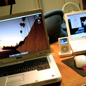 the setup.jpg