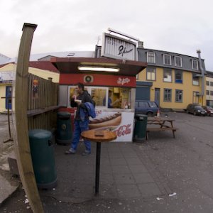DSC_0016.jpg