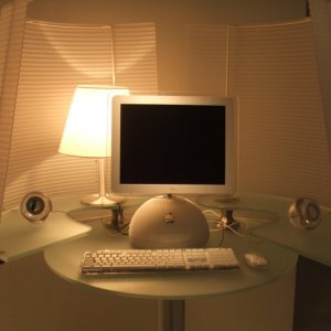 Picture 7.jpg