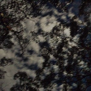 moonlight2.jpg