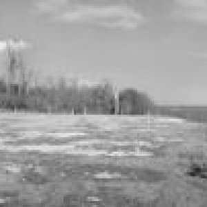 lighthouse long.jpg