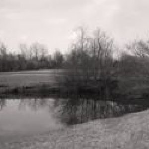 lums pond flatten sepia.jpg