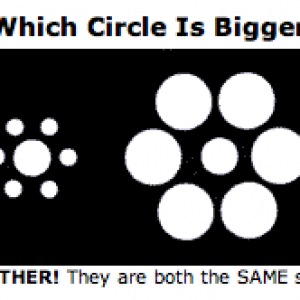 Picture 5.png