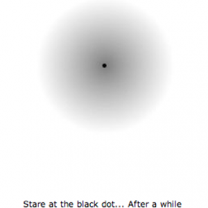 Picture 7.png