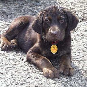 guiness (4).jpg
