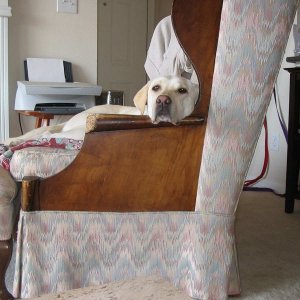 CM on chair.jpg