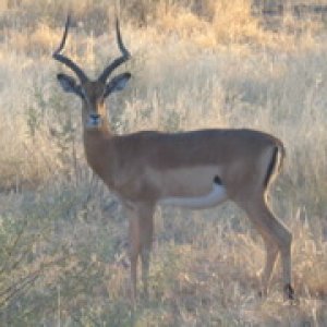 IMG_1024.jpg