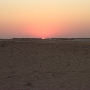 DSCN1658.JPG