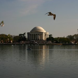 IMG_2546.jpg