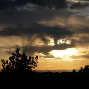 DSCN0340.jpg