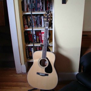 Guitars-2.jpg