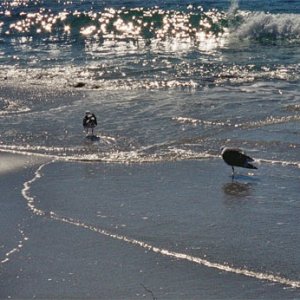 water.jpg