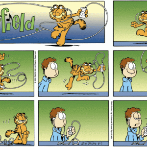 236765.gif
