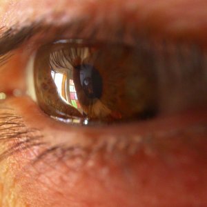 eye1.jpg