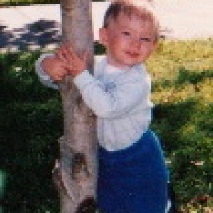 tree.jpg